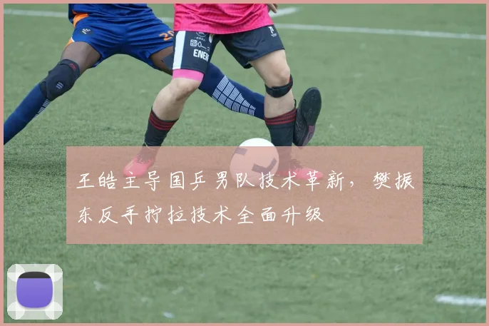 王皓主导国乒男队技术革新，樊振东反手拧拉技术全面升级