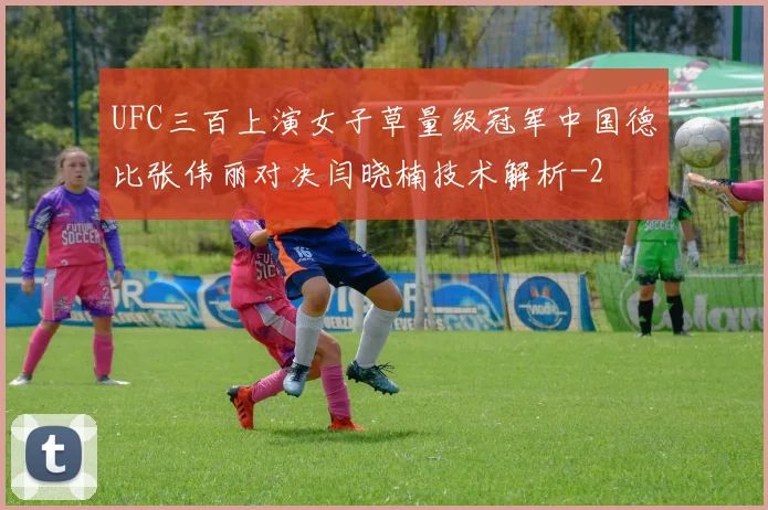 UFC三百上演女子草量级冠军中国德比张伟丽对决闫晓楠技术解析