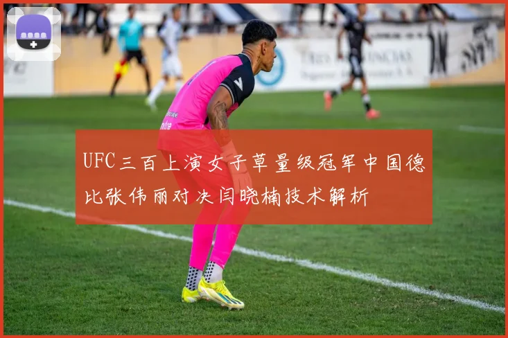 UFC三百上演女子草量级冠军中国德比张伟丽对决闫晓楠技术解析
