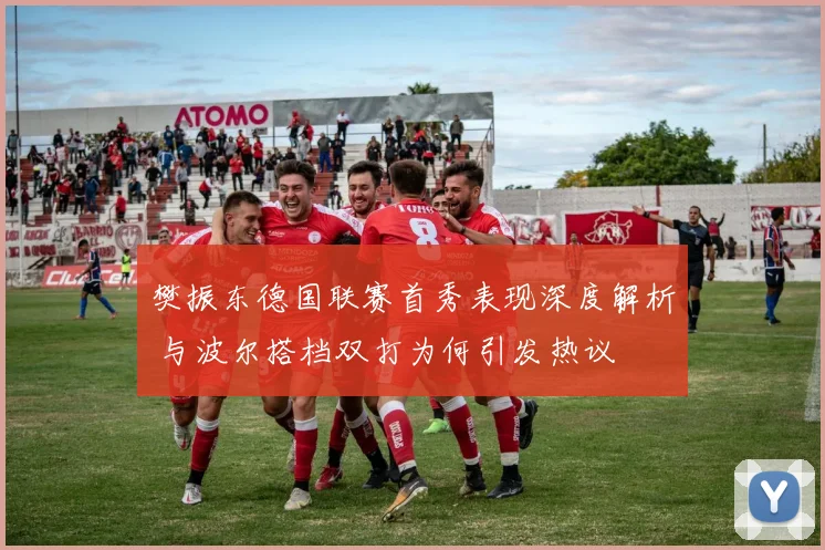 樊振东德国联赛首秀表现深度解析 与波尔搭档双打为何引发热议