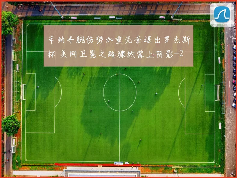 辛纳手腕伤势加重无奈退出罗杰斯杯 美网卫冕之路骤然蒙上阴影